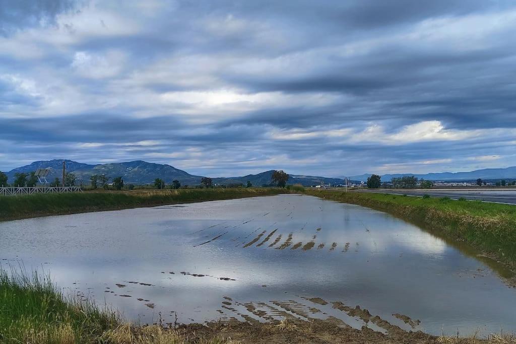 Casilla Mas D'Avall Deltebre Zewnętrze zdjęcie
